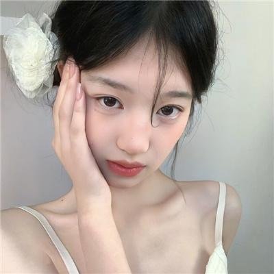 极地守护犬